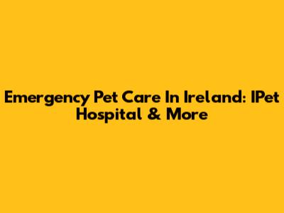 Emergency Pet Care In Ireland: IPet Hospital & More